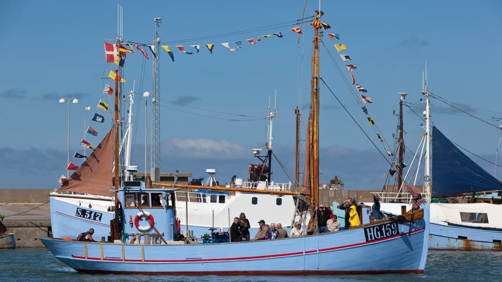 Hirtshals Fisch-Festival - viel frischem Fisch