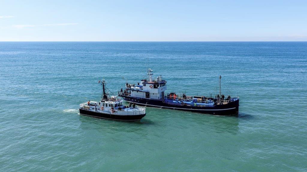 Sea angling with M/S Albatros