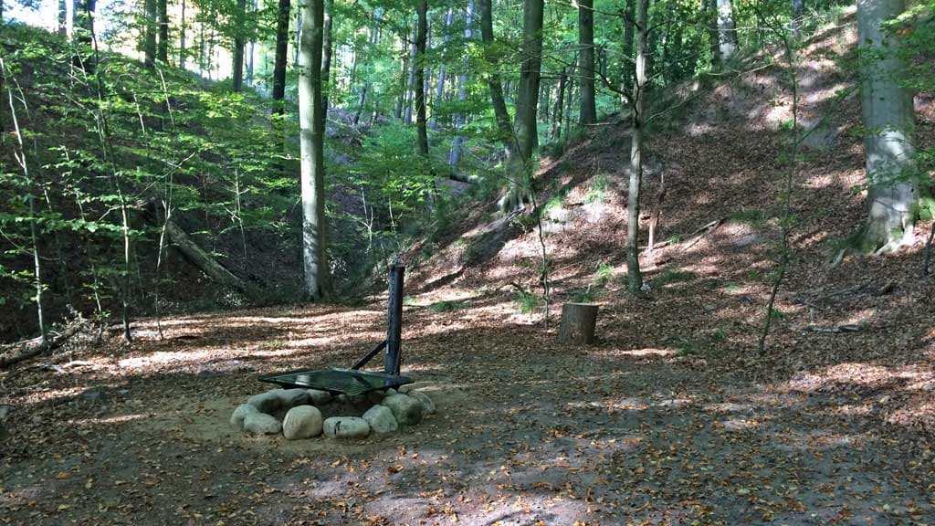 Kollund Skov - Tent site