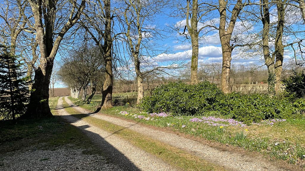 Lyngholm natur