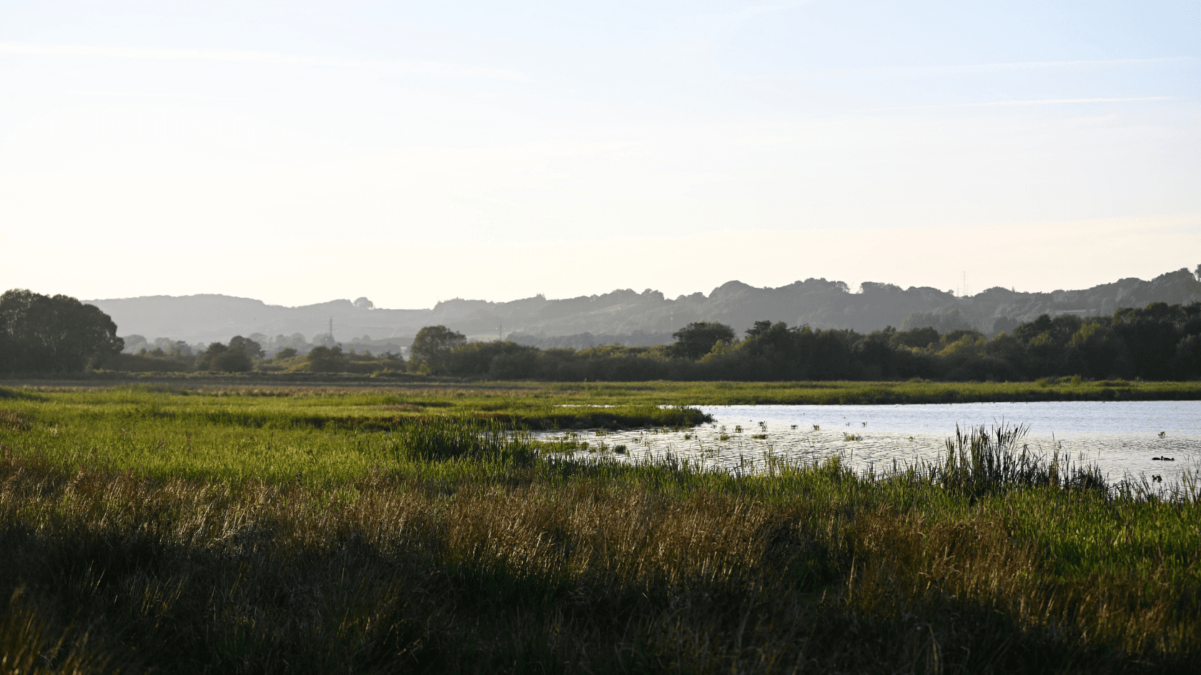 Kongens Kær wetlands, Knabberup Lake and Haraldskær Forest