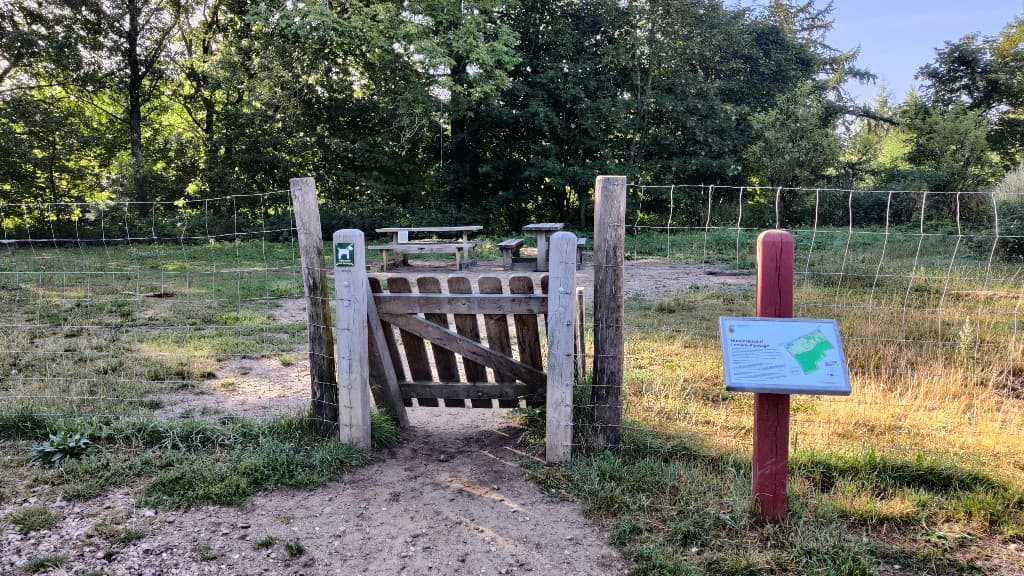 Lerskov Plantage Dog forest