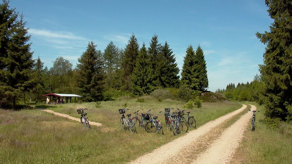 Bolderslev Forrest