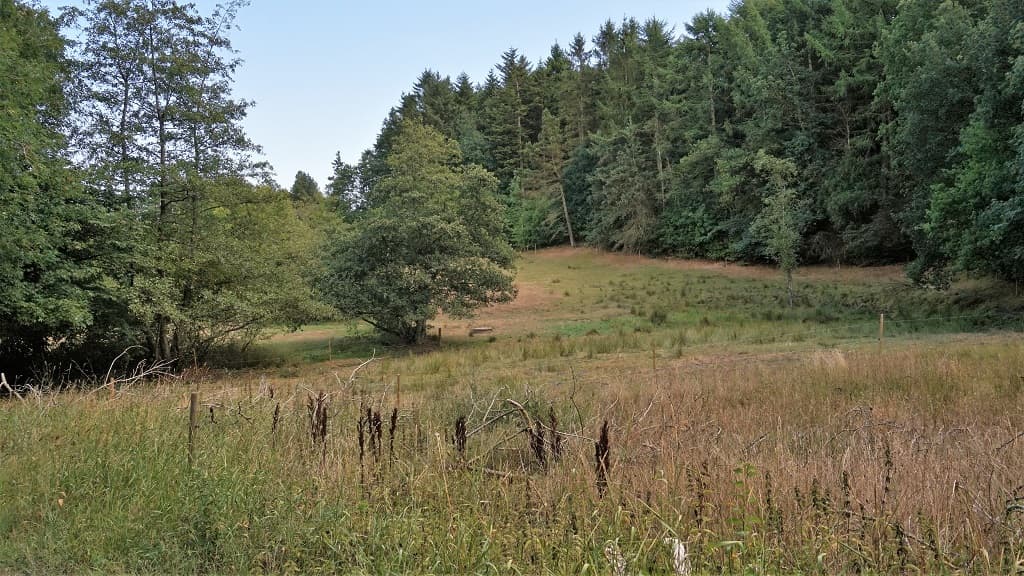 Die Naturschutzgebiete: Grevsmosen, Slettingen, Fejborg Bakke and Bollebakken