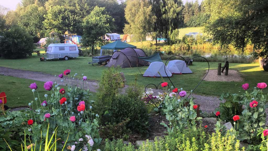 Gyvelborg Øko-camping & Gårdbutik (Gyvelborg organic camping and farm shop)