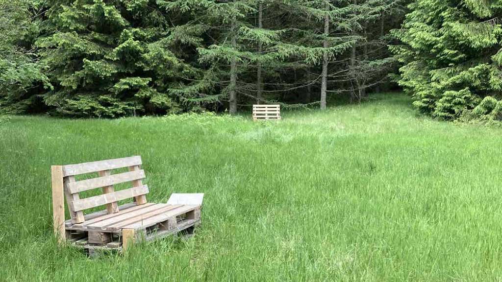 Kærsgaard Primitiv overnatningsplads