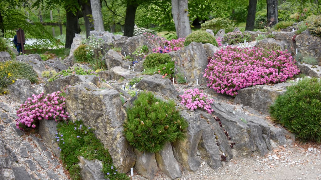 Spaltebed - Bangsbo Botaniske Have