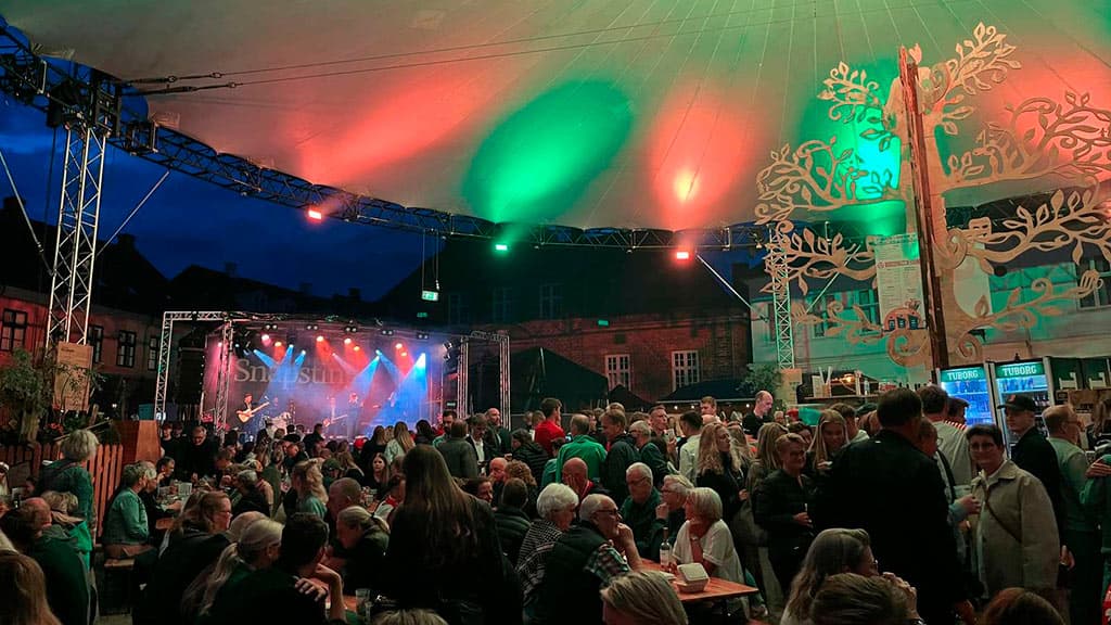 Snapsting auf Hjultorvet in Viborg